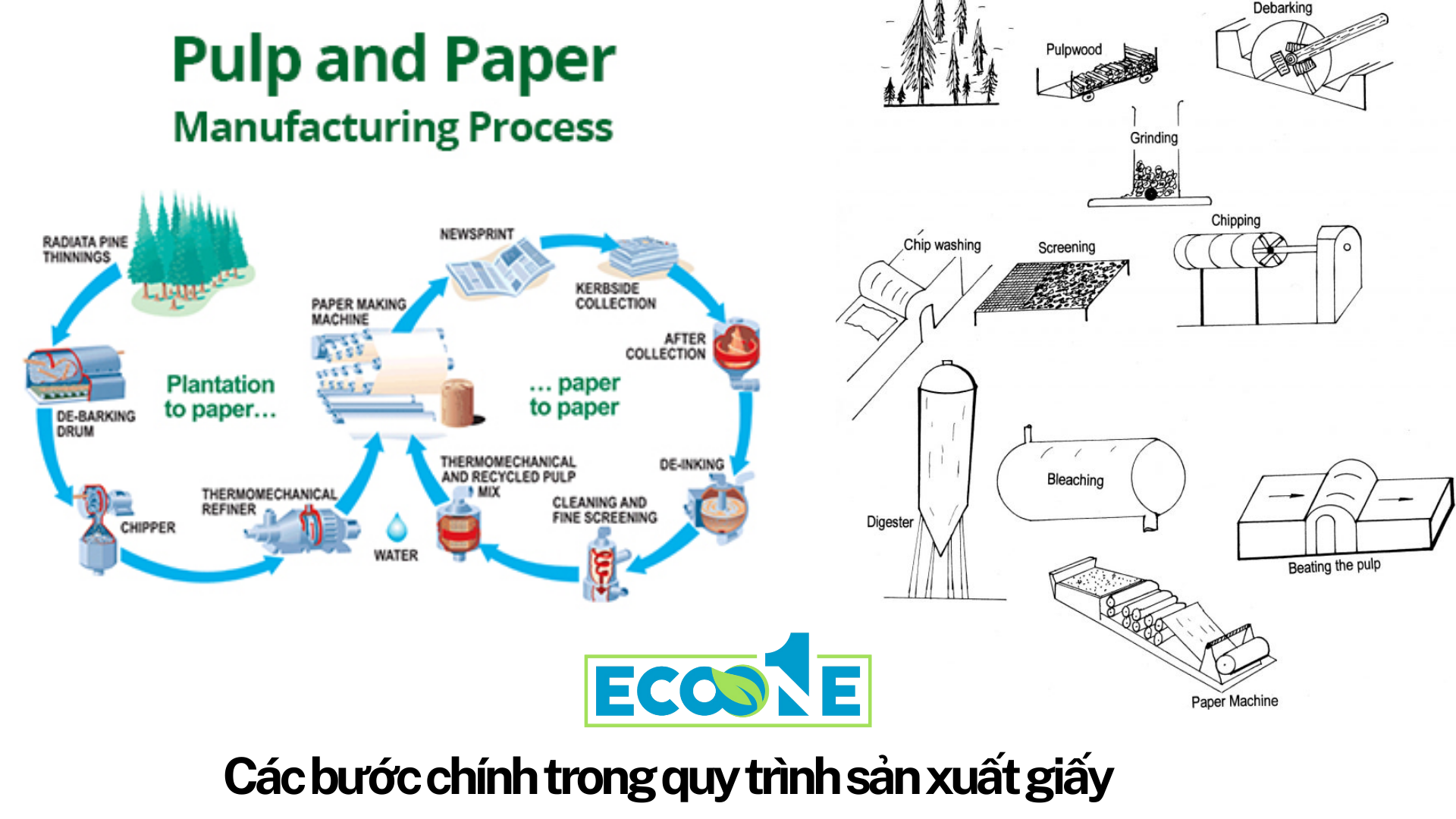 Các bước chính trong quy trình sản xuất giấy