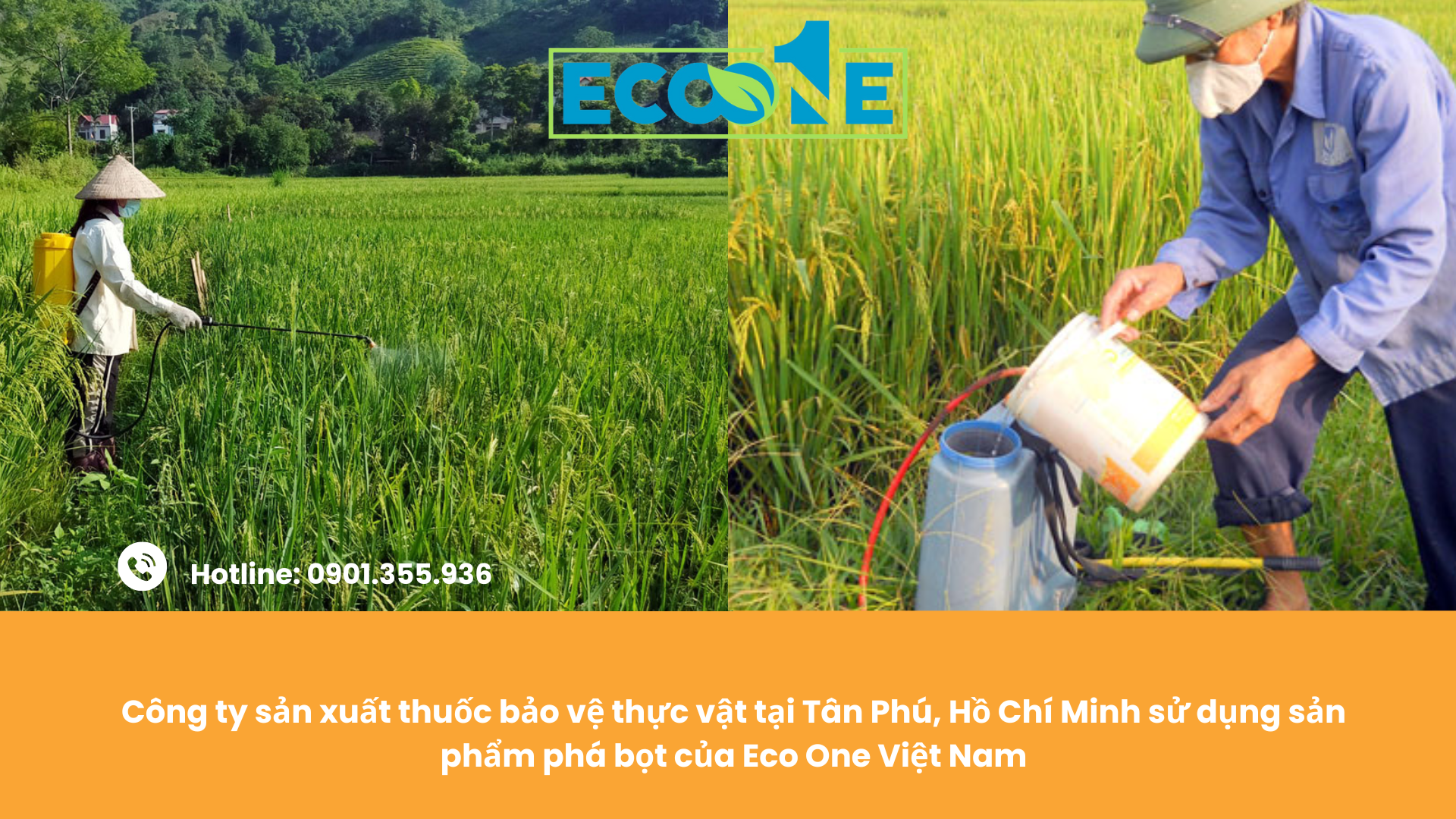 Công ty sản xuất thuốc bảo vệ thực vật tại Tân Phú, Hồ Chí Minh sử dụng sản phẩm phá bọt của Eco One Việt Nam