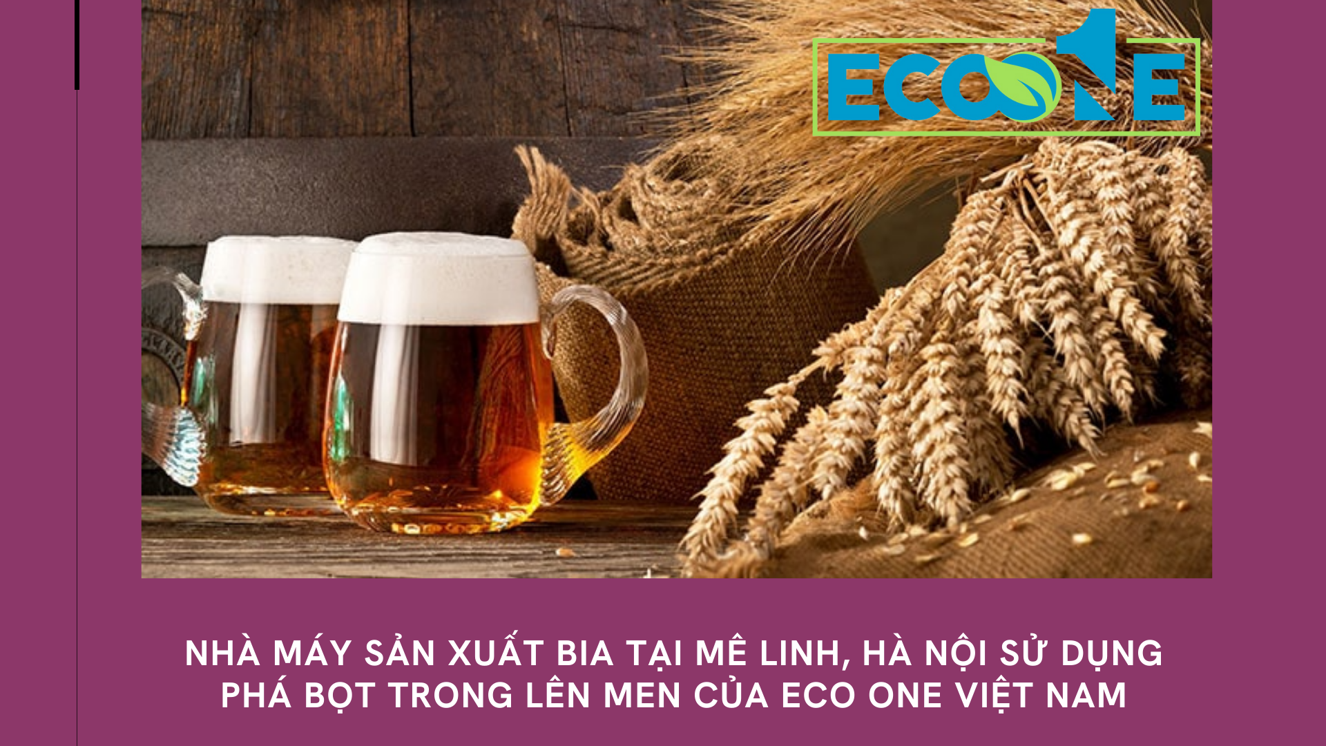 Nhà máy sản xuất bia tại Mê Linh, hà nội sử dụng phá bọt trong lên men của Eco One việt nam
