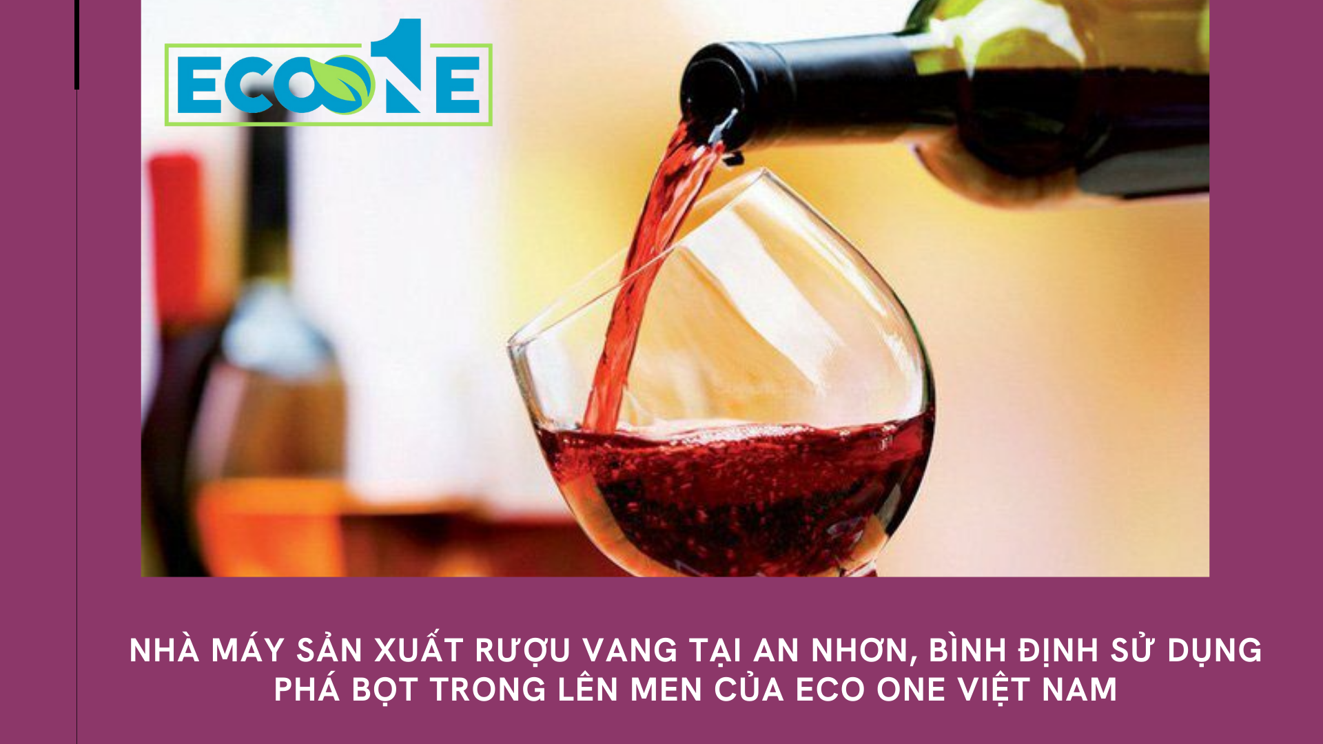 Nhà máy sản xuất rượu vang tại An Nhơn, Bình định sử dụng phá bọt trong lên men của Eco One Việt Nam