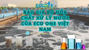 Báo giá bộ hóa chất xử lý nước của Eco One Việt Nam