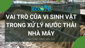 Vai trò của vi sinh vật trong xử lý nước thải nhà máy