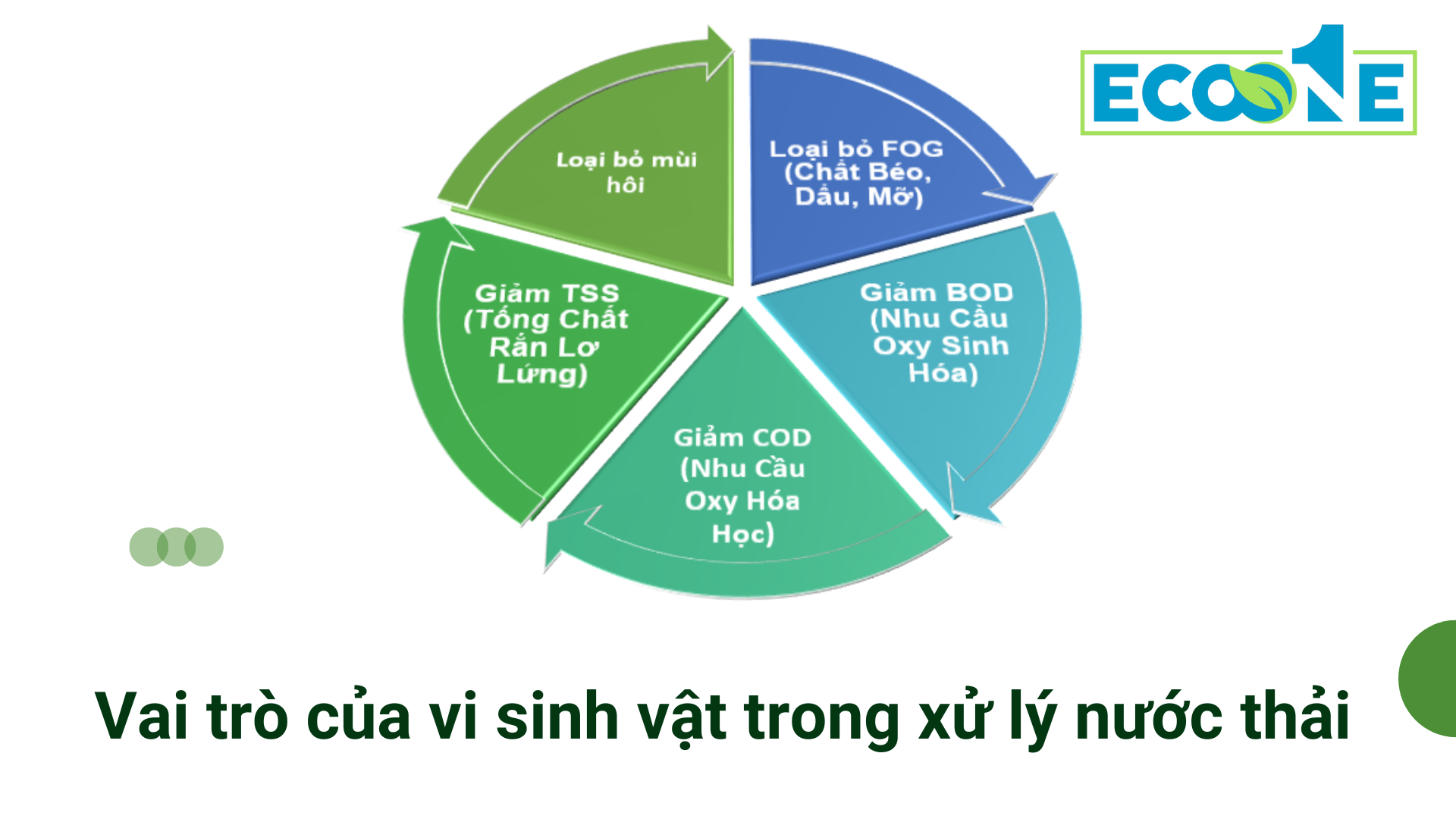 Vai trò của vi sinh vật trong xử lý nước thải