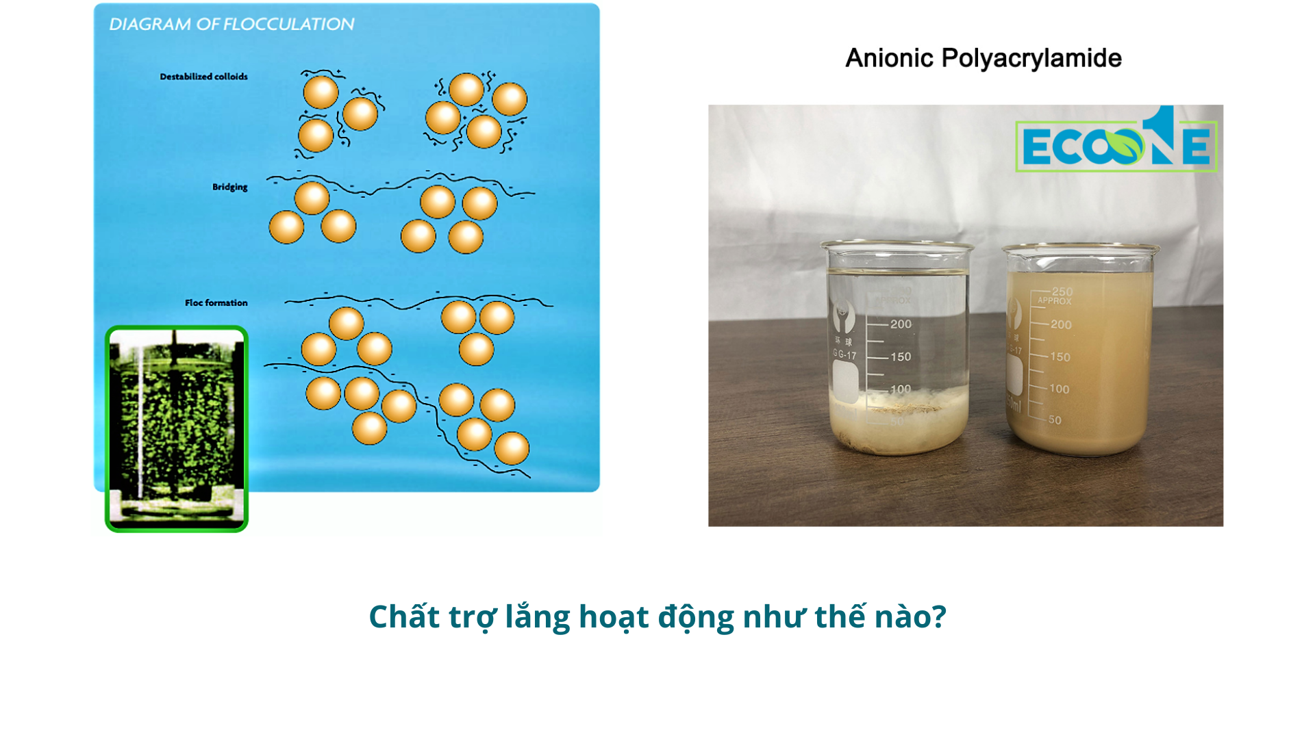 Chất trợ lắng hoạt động như thế nào