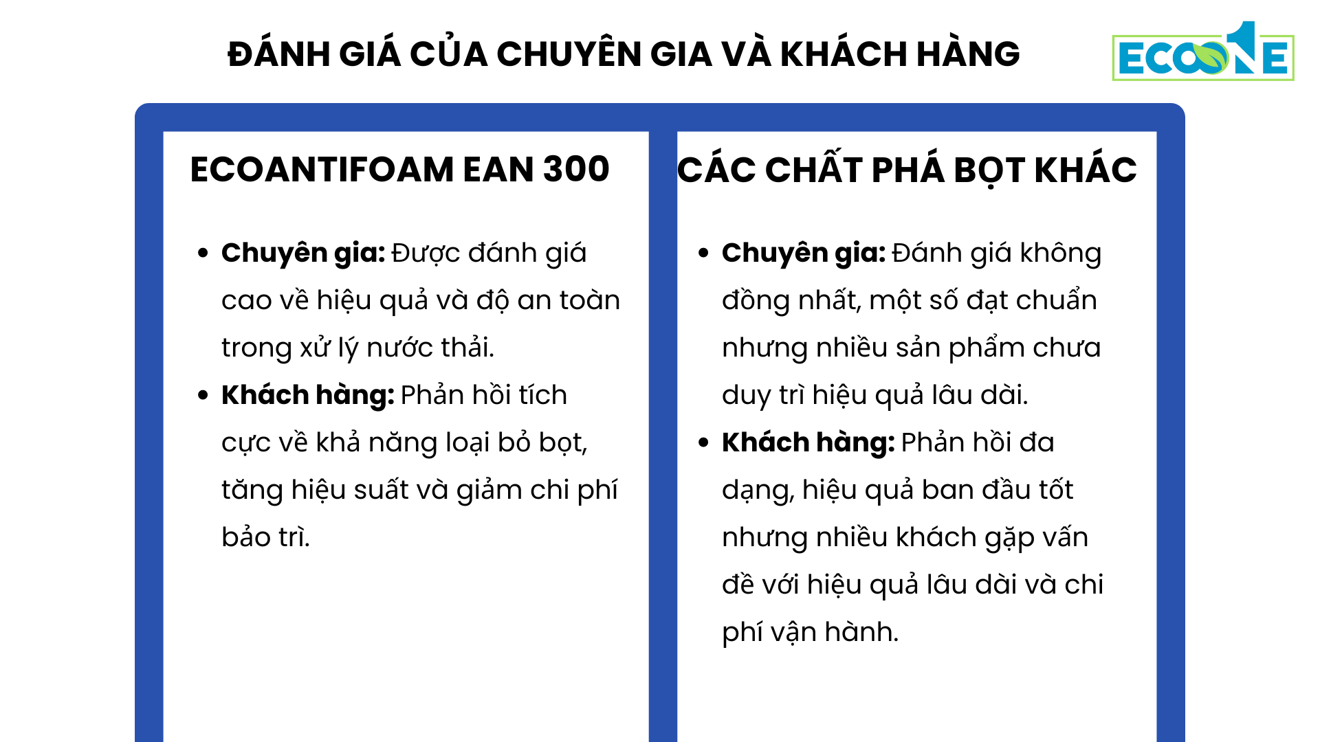 Đánh giá của chuyên gia và khách hàng