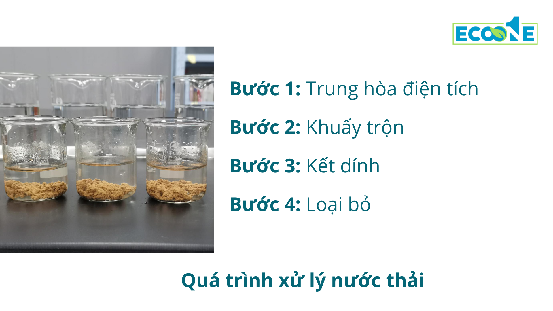 Quá trình xử lý nước thải