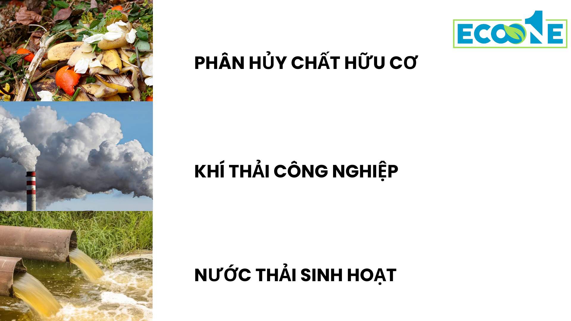 Nguyên nhân gây mùi hôi trong nước thải