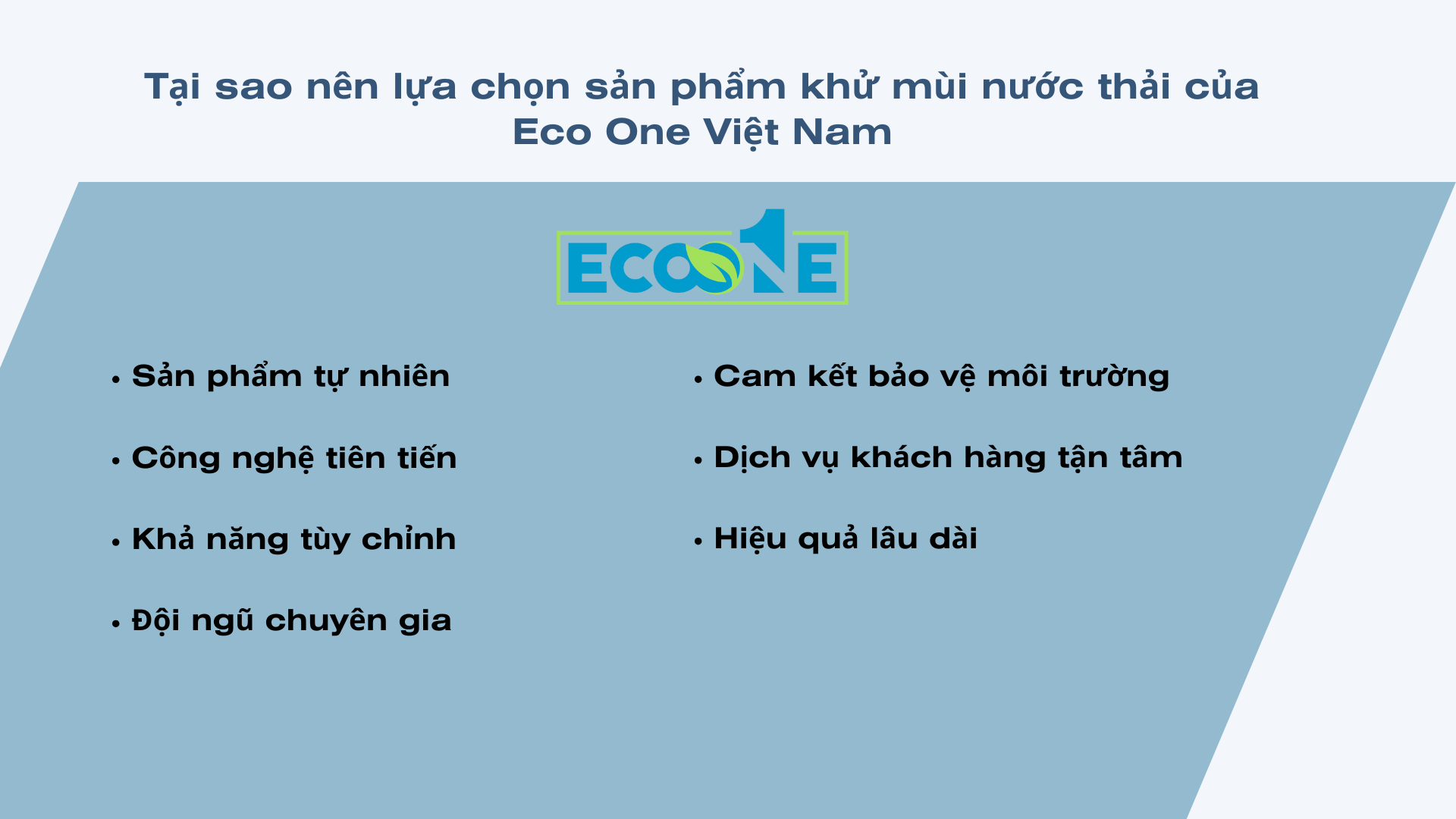 Tại sao nên lựa chọn sản phẩm khử mùi nước thải của Eco One Việt Nam