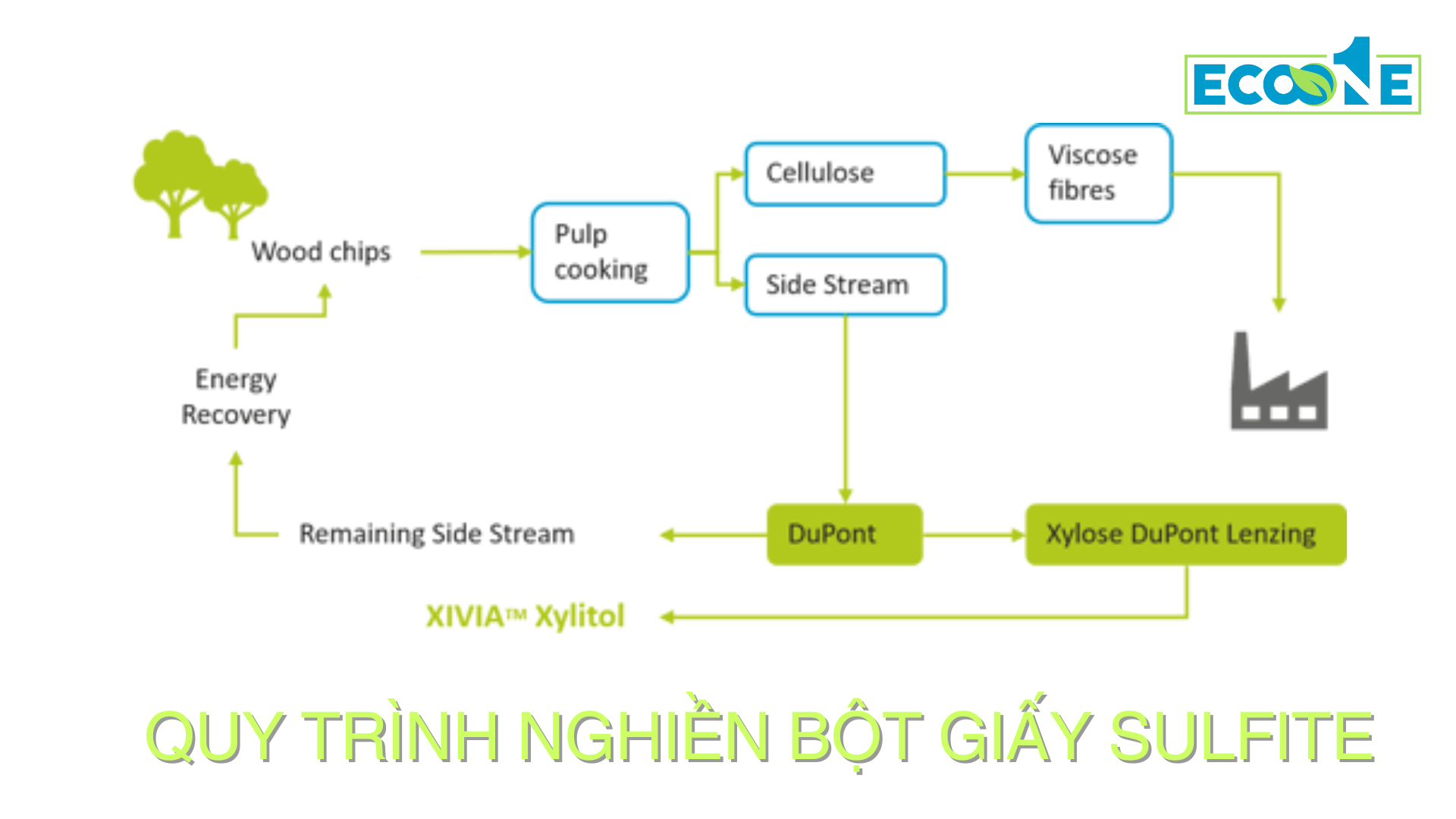 Quy trình nghiền bột giấy Sulfite