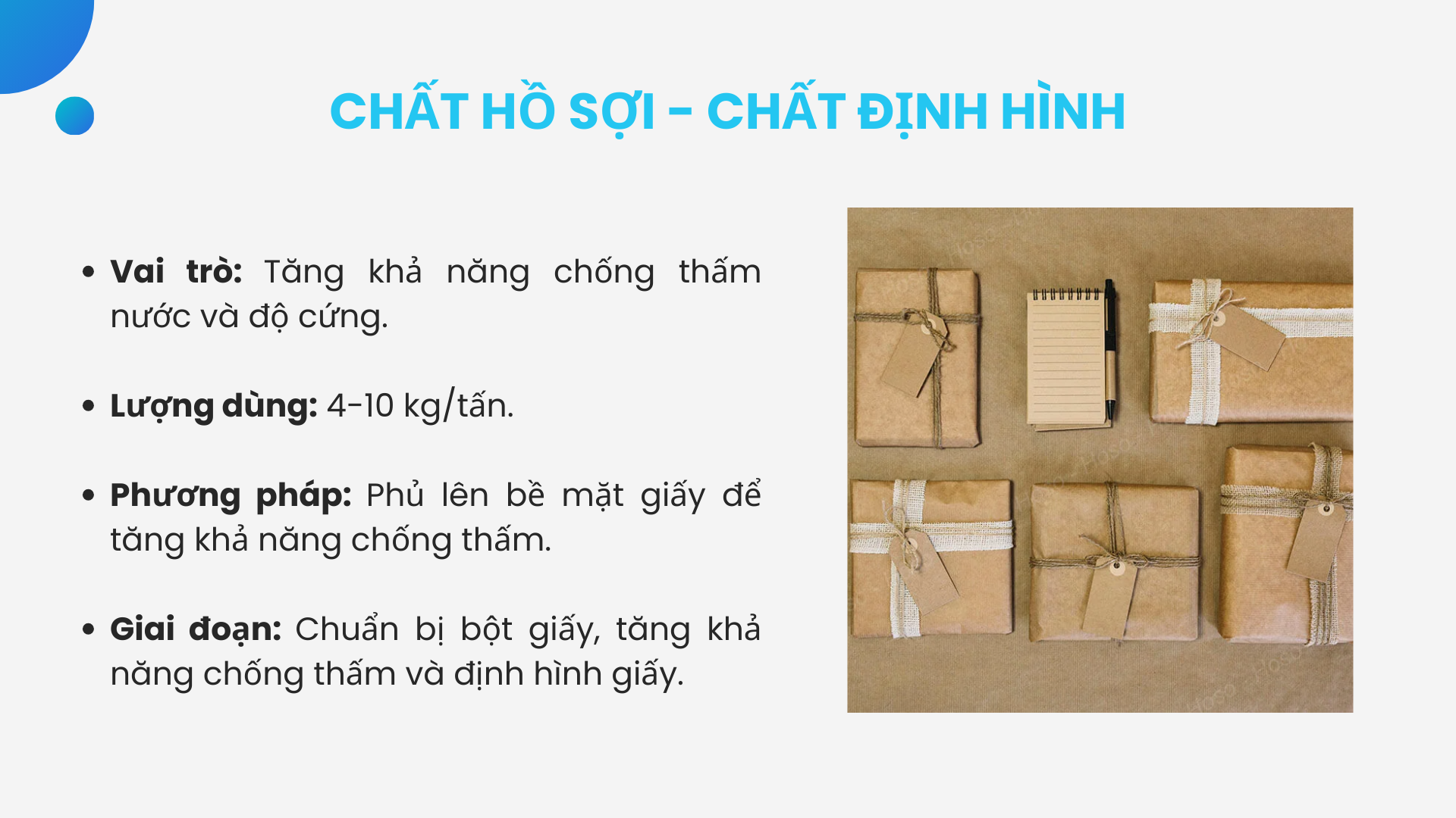 Chất hồ sợi - chất định hình (Sizing Agent) sử dụng trong sản xuất giấy gói hàng