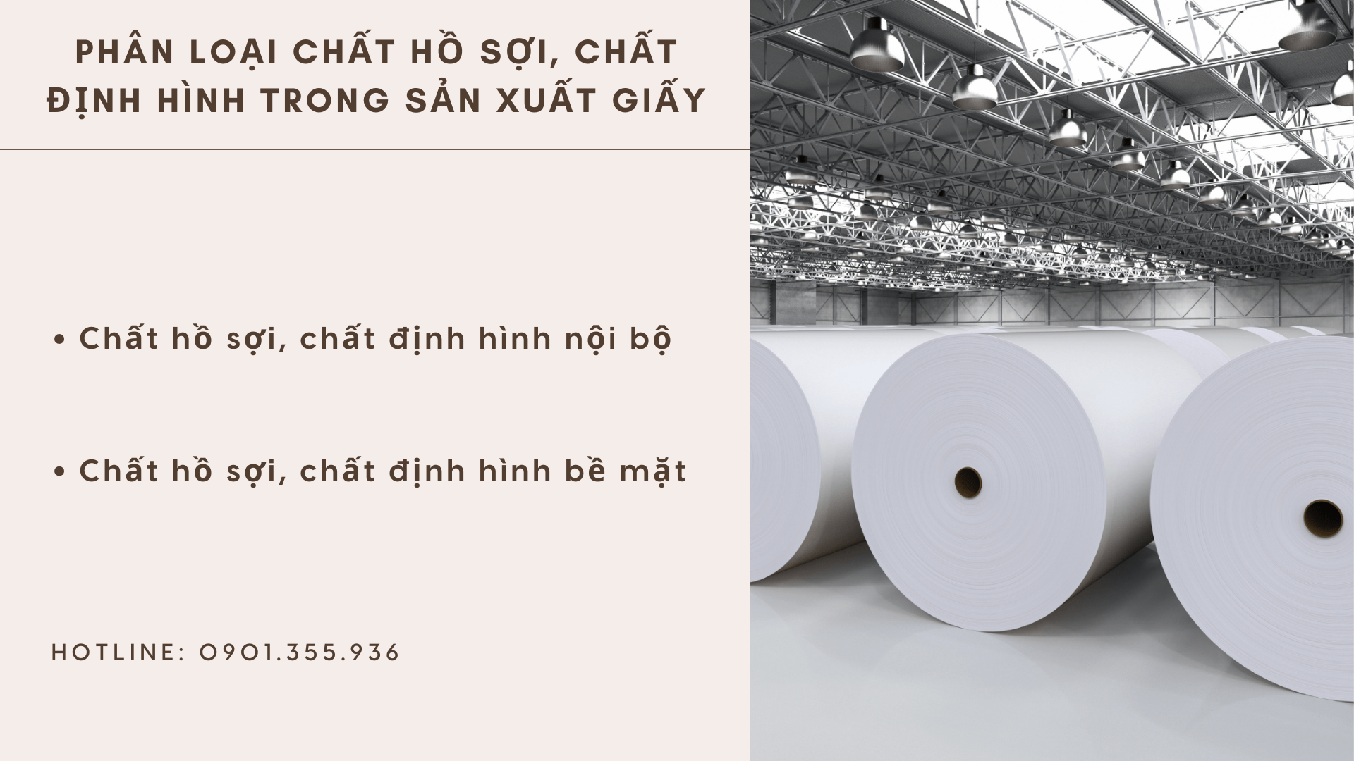 Phân loại chất hồ sợi, chất định hình trong sản xuất giấy