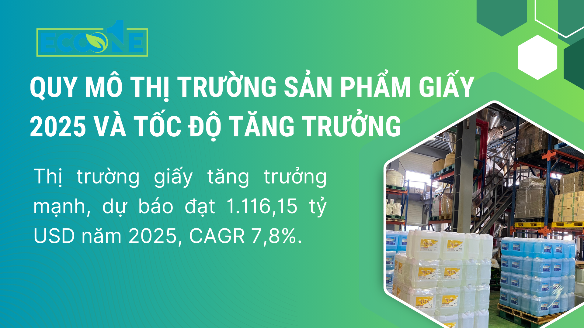 Quy Mô Thị Trường Sản Phẩm Giấy 2025 Và Tốc Độ Tăng Trưởng