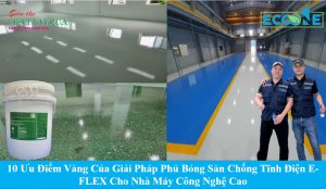 10 Ưu Điểm Vàng Của Giải Pháp Phủ Bóng Sàn Chống Tĩnh Điện E-FLEX Cho Nhà Máy Công Nghệ Cao